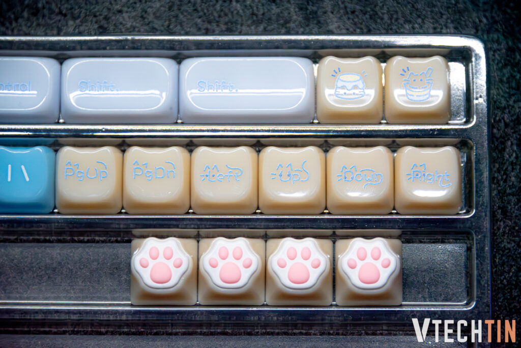 trên tay Absolute Cat MAO