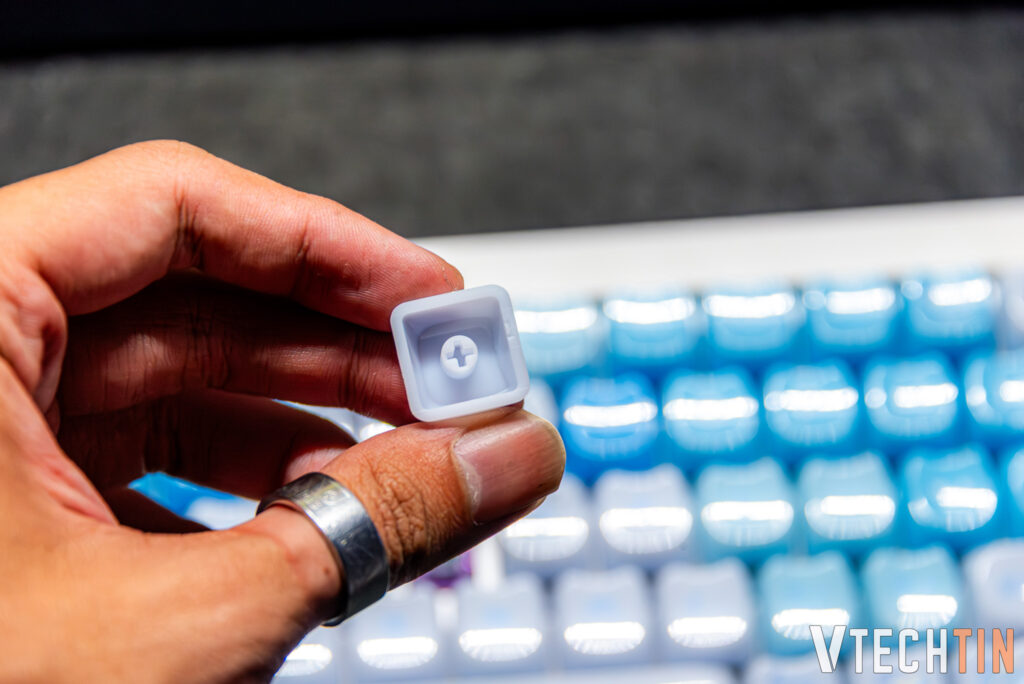 trên tay Absolute Cat MAO