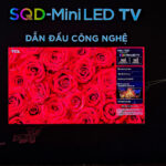 TCL khai mở kỷ nguyên hiển thị mới, kiến tạo chuẩn sống phong cách