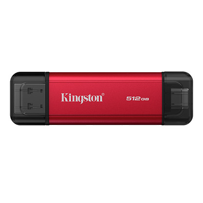 Kingston Dual Portable